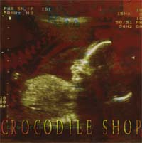 Crocodile Shop Beneath